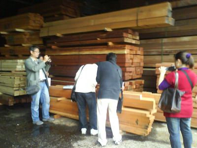 木料鑑定及防腐測試
